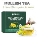 Betterlungs Mullein Tea Bags for Lung Detox - Respiratory Support with Thyme, Elderberry, Ginseng, Ginger, Caffeine Free, 15 Bag